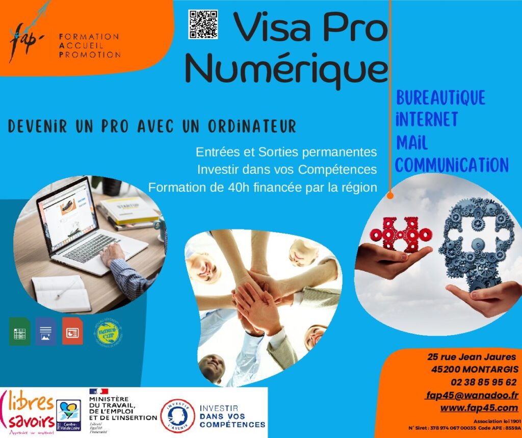Visa Pro Numérique